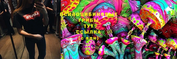 винт Алзамай