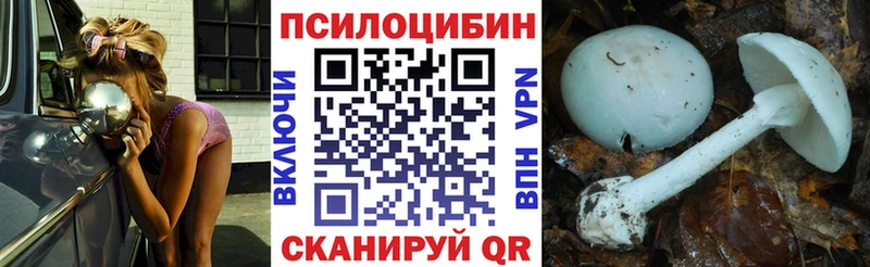 сколько стоит  Юхнов  Псилоцибиновые грибы мицелий 